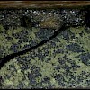 Talc-chlorite-sericite volcaniclastic -- semi massive coarsely recrystallized pyrite and chalcopyrite with foliation crudely preserved
